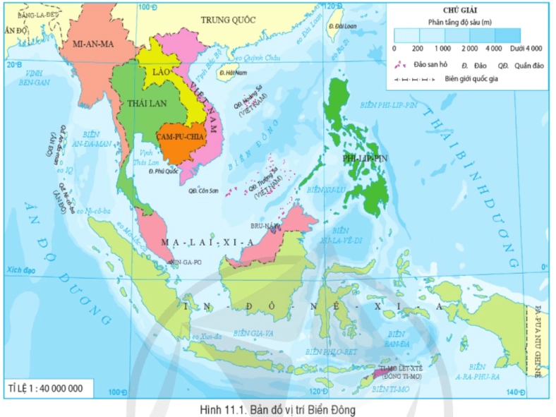 Bờ Biển Việt Nam Nằm Ở Phía Nào Của Biển Đông? Hệ sinh thái biển đa dạng tại Việt Nam