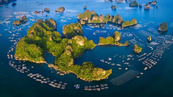 Đảo nào có diện tích lớn nhất nước ta? Khám phá 'Thủ phủ' của Biển Đông Hoạt động du lịch biển đảo tại Phú Quốc