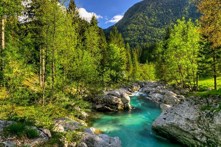 Slovenia Là Nước Nào? Khám Phá Chi Tiết Về Quốc Gia Xanh Này Lễ hội truyền thống Slovenia