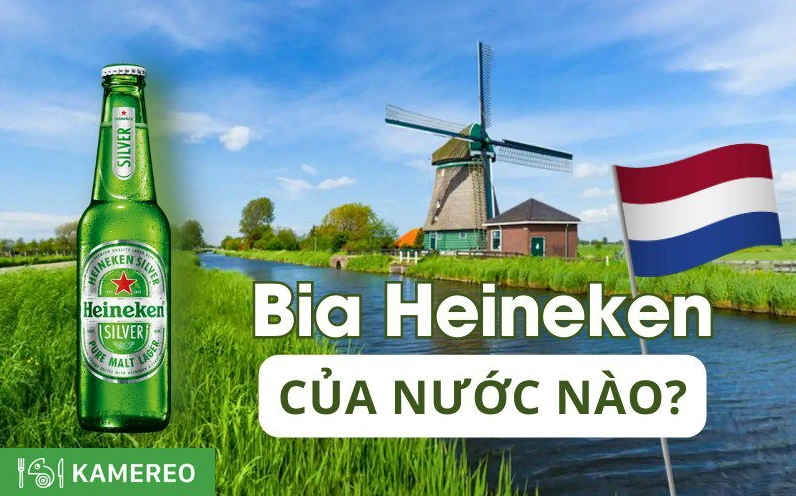 Heineken của nước nào? Nguồn gốc và hành trình chinh phục thế giới Logo và chai bia Heineken