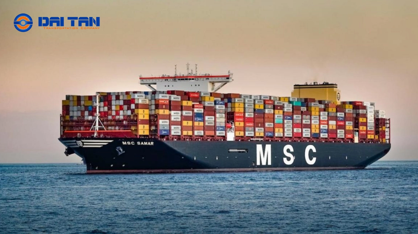 Logo và đội tàu của MSC