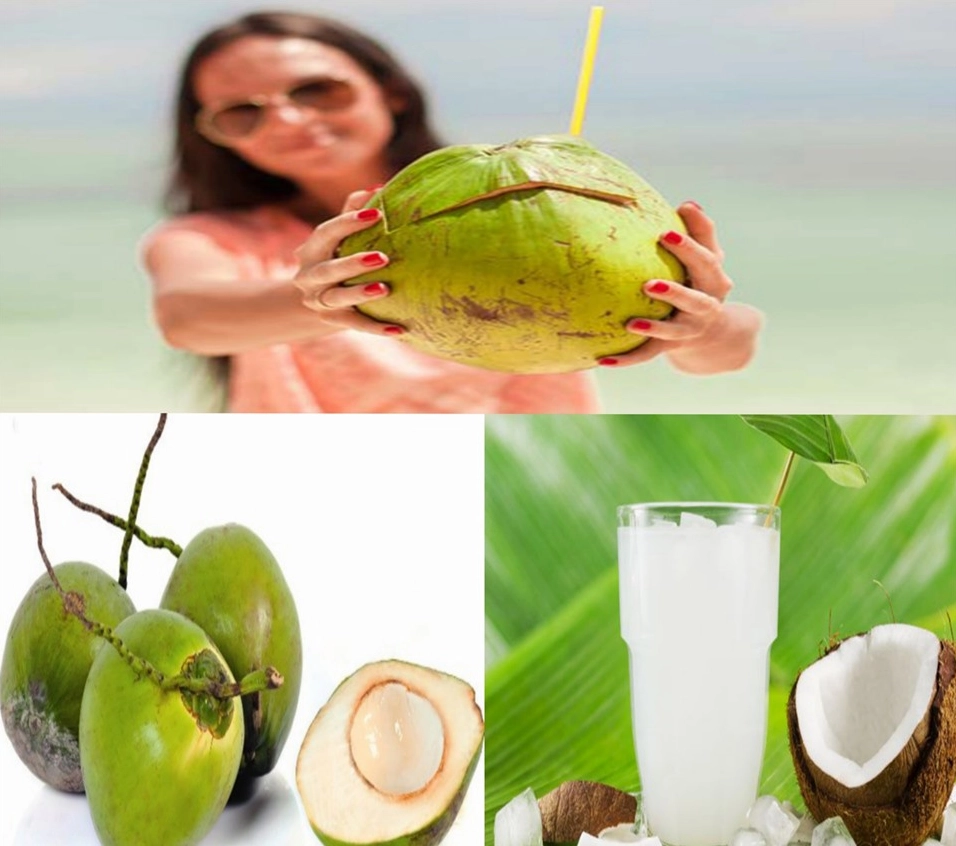 Lợi ích sức khỏe của nước dừa