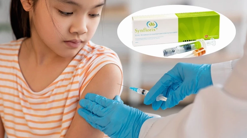 Synflorix Của Nước Nào? Phân Tích Chuyên Sâu Vắc Xin Phế Cầu 2026 Lưu ý khi tiêm Synflorix