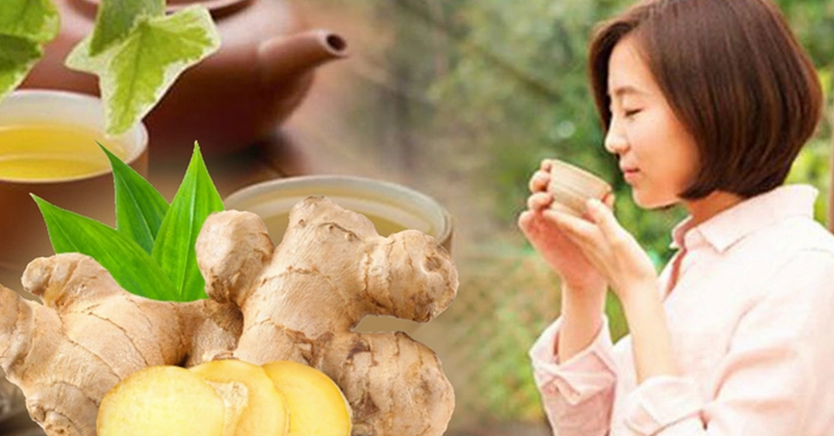Khi nào nên uống nước gừng tốt nhất cho sức khỏe 2026? Ly trà gừng nóng