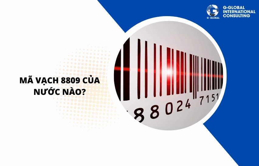 ma-vach-8809-kham-pha-nguon-goc-va-y-nghia-sau-sac_806