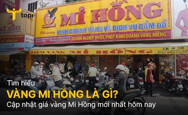 mi-hong-hom-nay-2026-cap-nhat-gia-vang-sjc-du-bao-xu-huong-m_612
