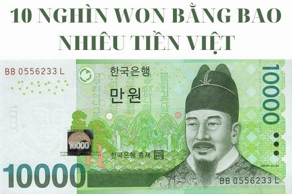 20.000 Won đổi bao nhiêu VND năm 2026? Cập nhật chi tiết Minh họa đổi tiền Won sang VND
