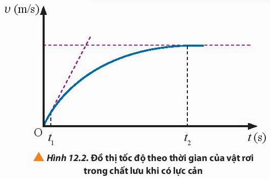Một vật ở trong nước chịu tác dụng của những lực nào? Minh họa sức căng bề mặt của nước