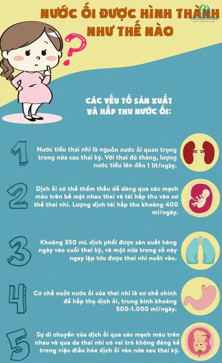 nuoc-oi-nhu-the-nao-vai-tro-va-dau-hieu-bat-thuong-can-biet-_942