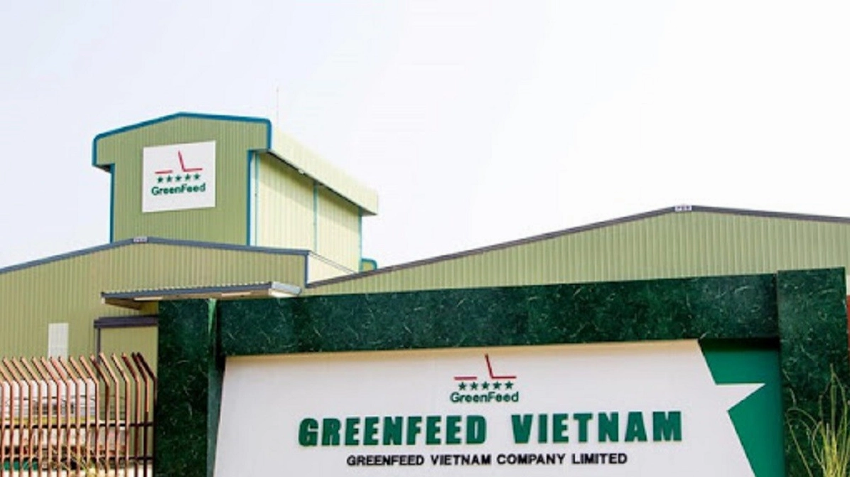 Greenfeed của nước nào? Hành trình từ Việt Nam vươn tầm quốc tế Đội ngũ nhân viên Greenfeed
