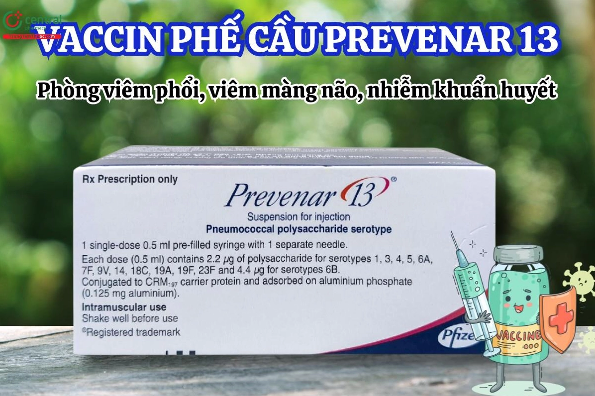 prevenar-13-cua-nuoc-nao-nguon-goc-va-thong-tin-chi-tiet-202_188