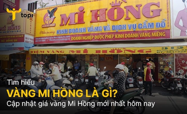 Cập Nhật Giá Vàng Tiệm Vàng Mi Hồng Mới Nhất 2026 So sánh giá vàng các loại tại Tiệm Vàng Mi Hồng