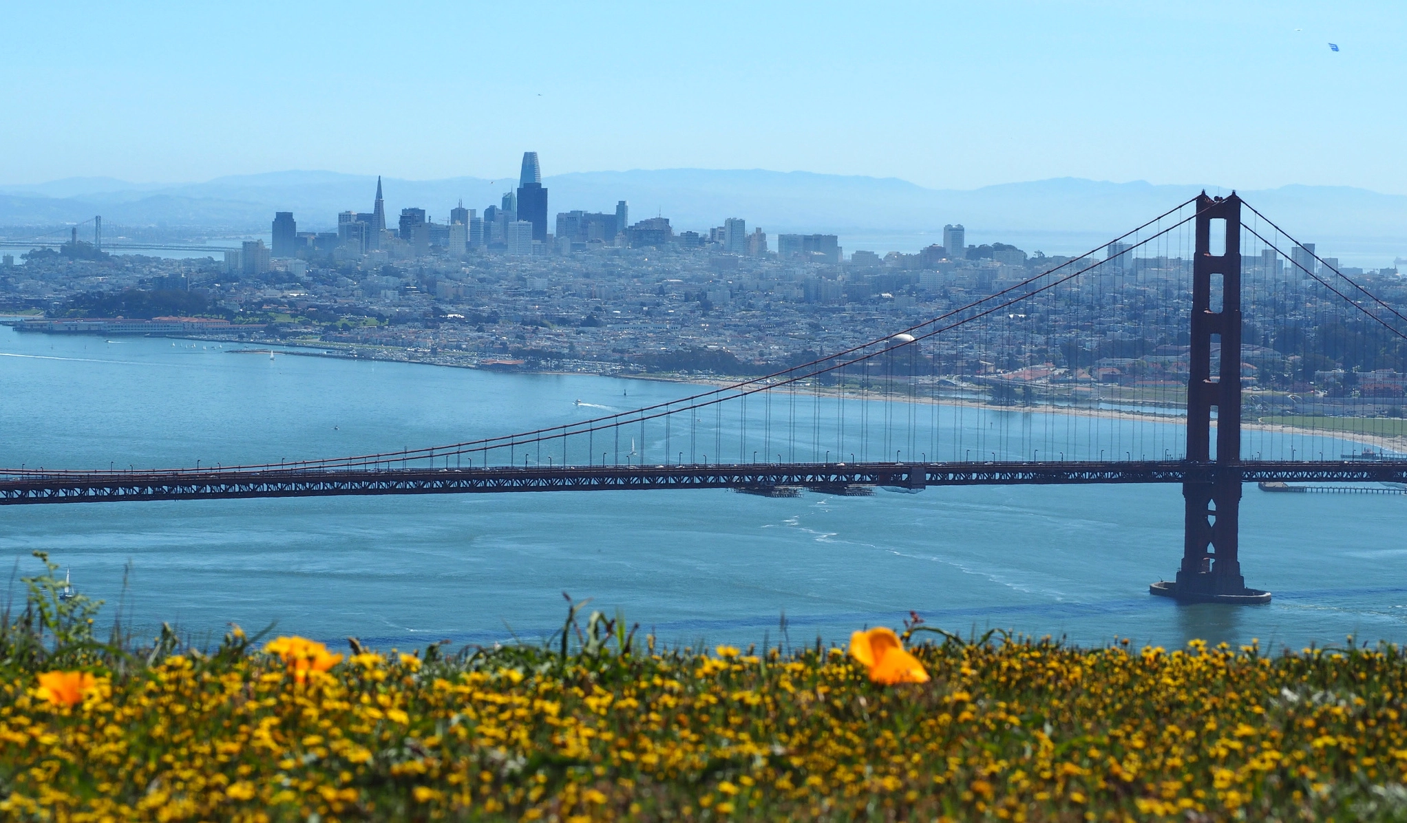 San Francisco Ở Nước Nào? Khám Phá Thành Phố Của Những Cây Cầu Vàng Toàn cảnh vịnh San Francisco nhìn từ đồi Marin