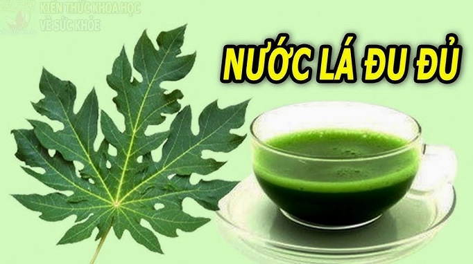 uong-nuoc-la-u-u-vao-luc-nao-loi-ich-va-luu-y-suc-khoe_618