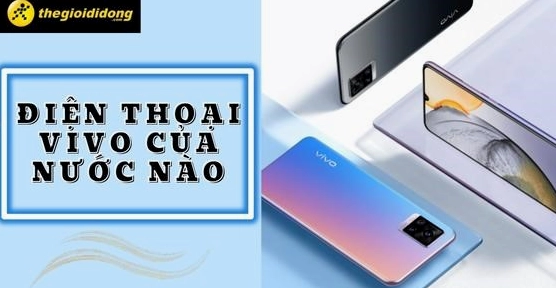 vivo-cua-nuoc-nao-he-lo-nguon-goc-va-hanh-trinh-phat-trien-c_353