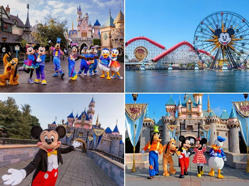 Disneyland Có Ở Những Nước Nào? Khám Phá Các Công Viên Kỳ Diệu Năm 2026 Walt Disney World Resort Florida