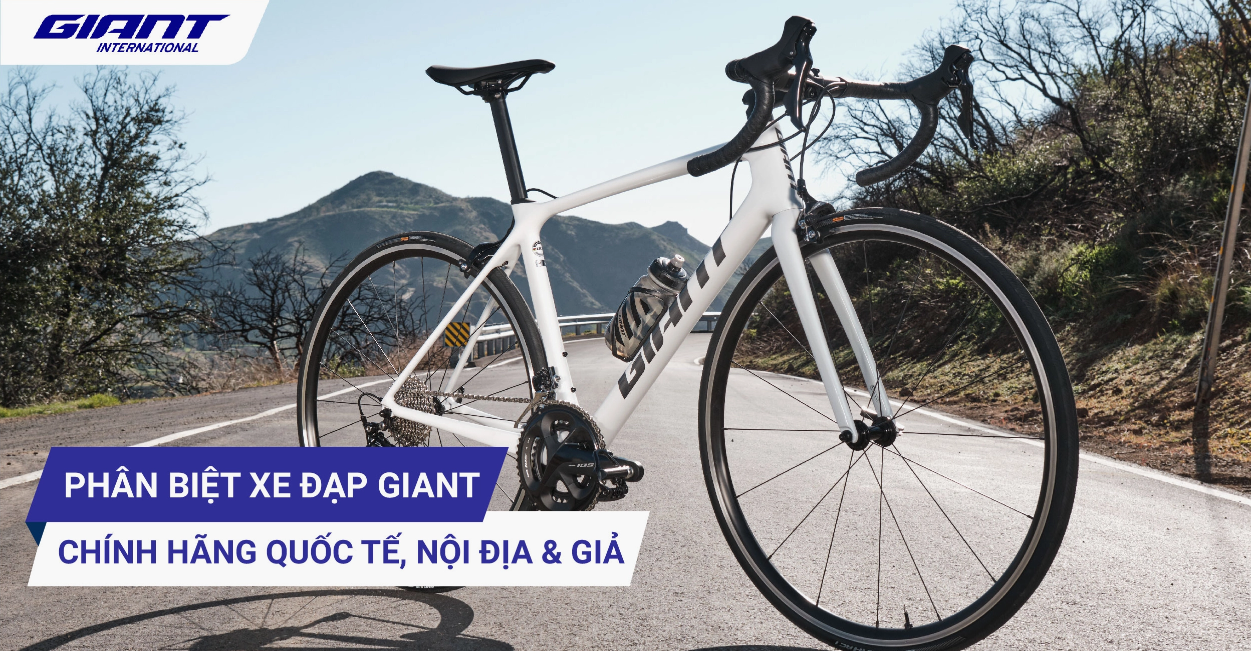 Xe đạp Giant - Lựa chọn cho mọi người