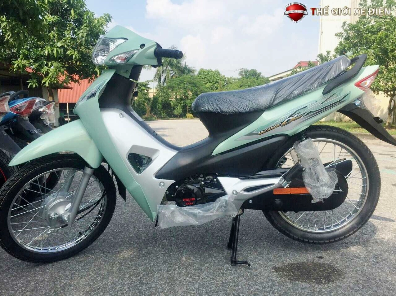 Xe điện Halim