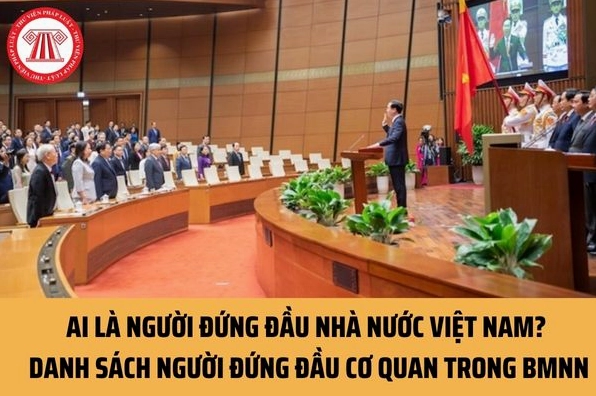ai-ung-au-nha-nuoc-viet-nam-ve-oi-noi-va-oi-ngoai_293
