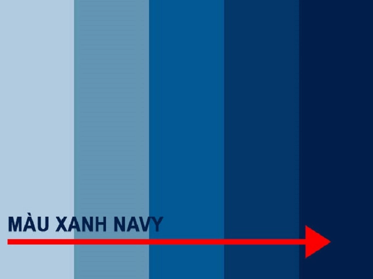 Bảng màu phối với xanh navy nhạt