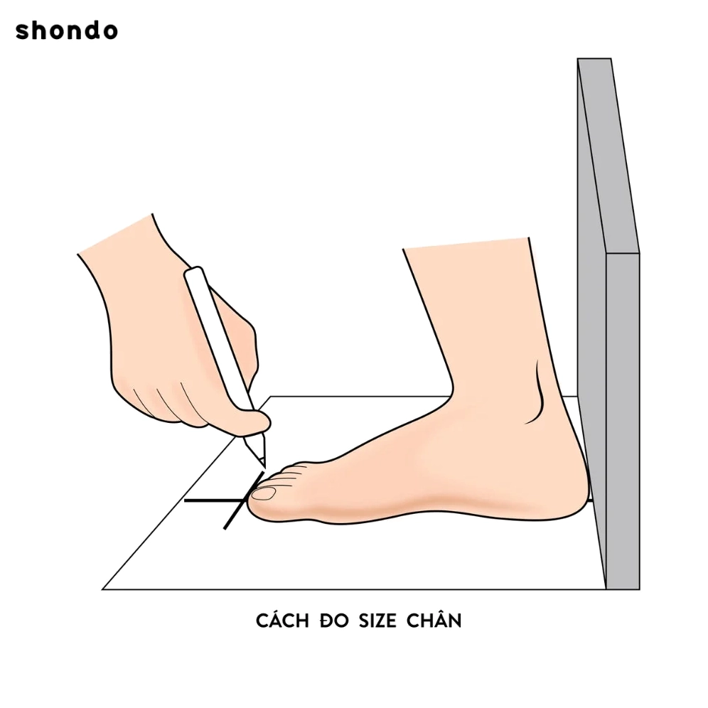 Bảng size chân và cách đo chi tiết