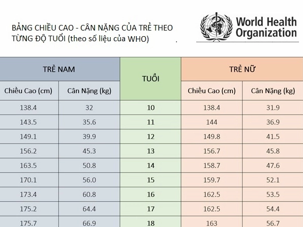 Biểu đồ các mức BMI
