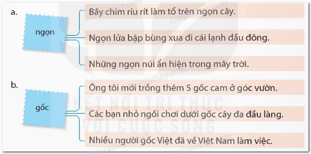 Biểu đồ minh họa sự phát triển của từ ngữ qua các thời kỳ