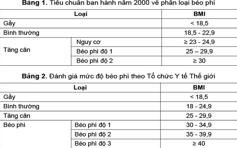 Biểu đồ phân loại chỉ số BMI