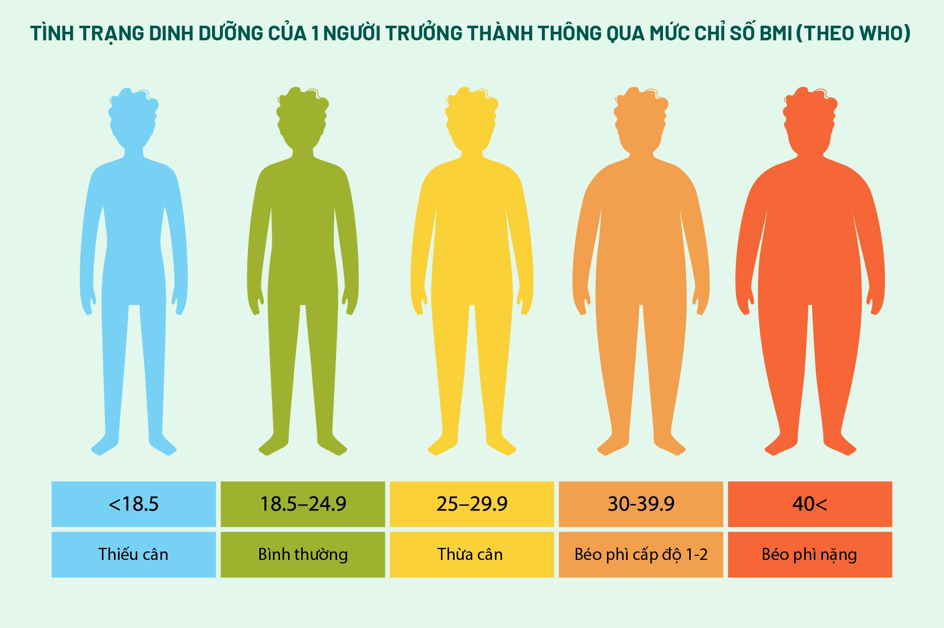 Biểu đồ thể hiện tình trạng dinh dưỡng theo BMI