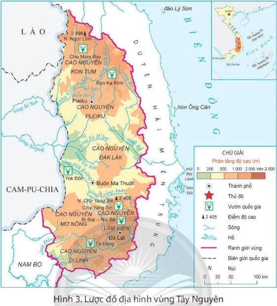 Vị Trí Địa Lý Tây Nguyên: Vùng Đất Không Tiếp Giáp Với Ai? Cà phê Robusta - sản phẩm đặc trưng của Tây Nguyên