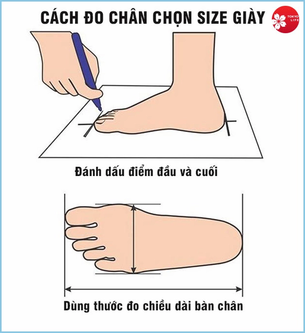 cach-o-chieu-dai-chan-chuan-xac-nhat-nam-2026_375