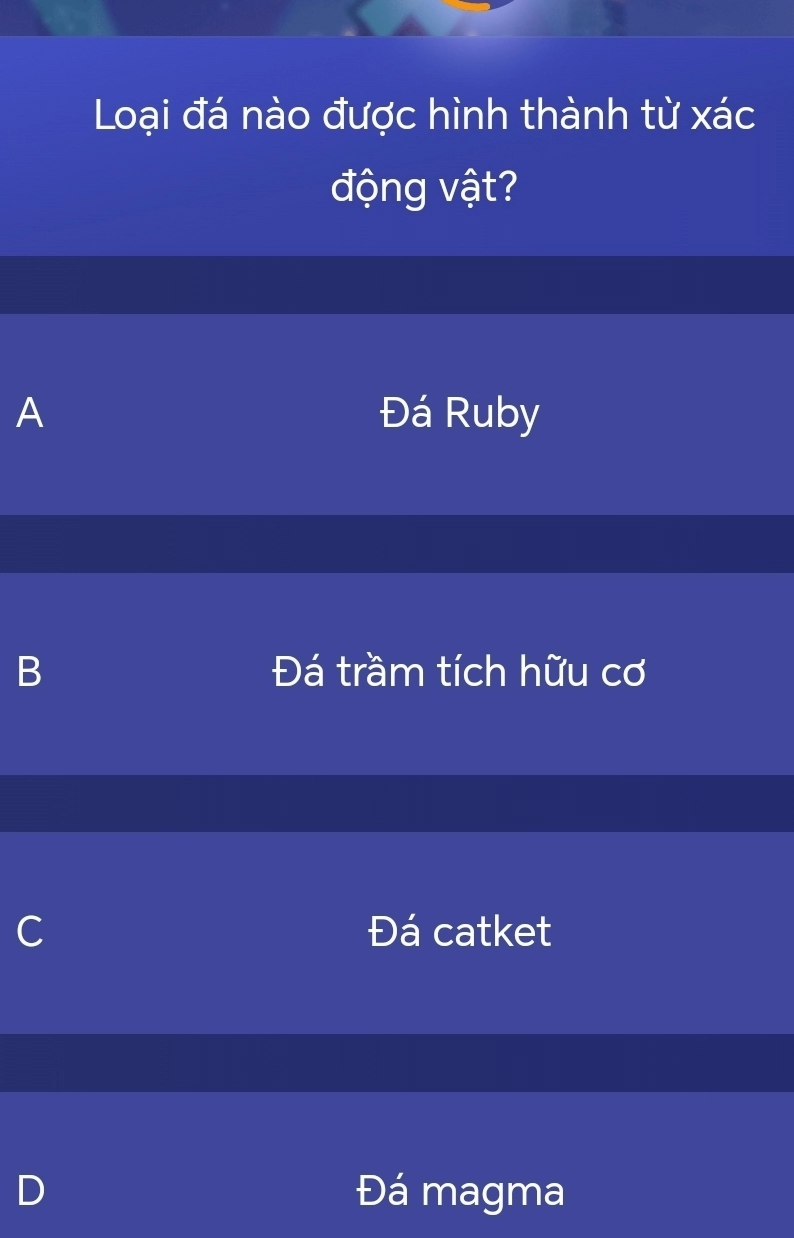 Loại đá nào được hình thành từ xác động vật? Cận cảnh hóa thạch trong đá vôi