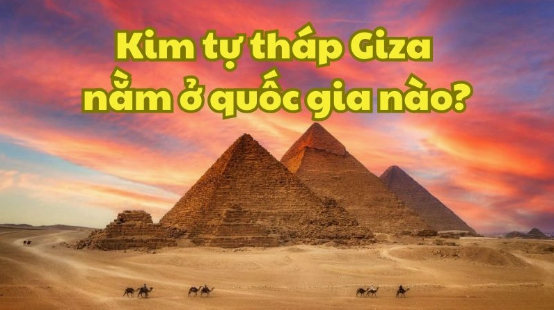 Kim Tự Tháp Giza Nằm Ở Quốc Gia Nào? Hé Lộ Bí Ẩn Ai Cập Cận cảnh Kim Tự Tháp Giza với kiến trúc đá đồ sộ