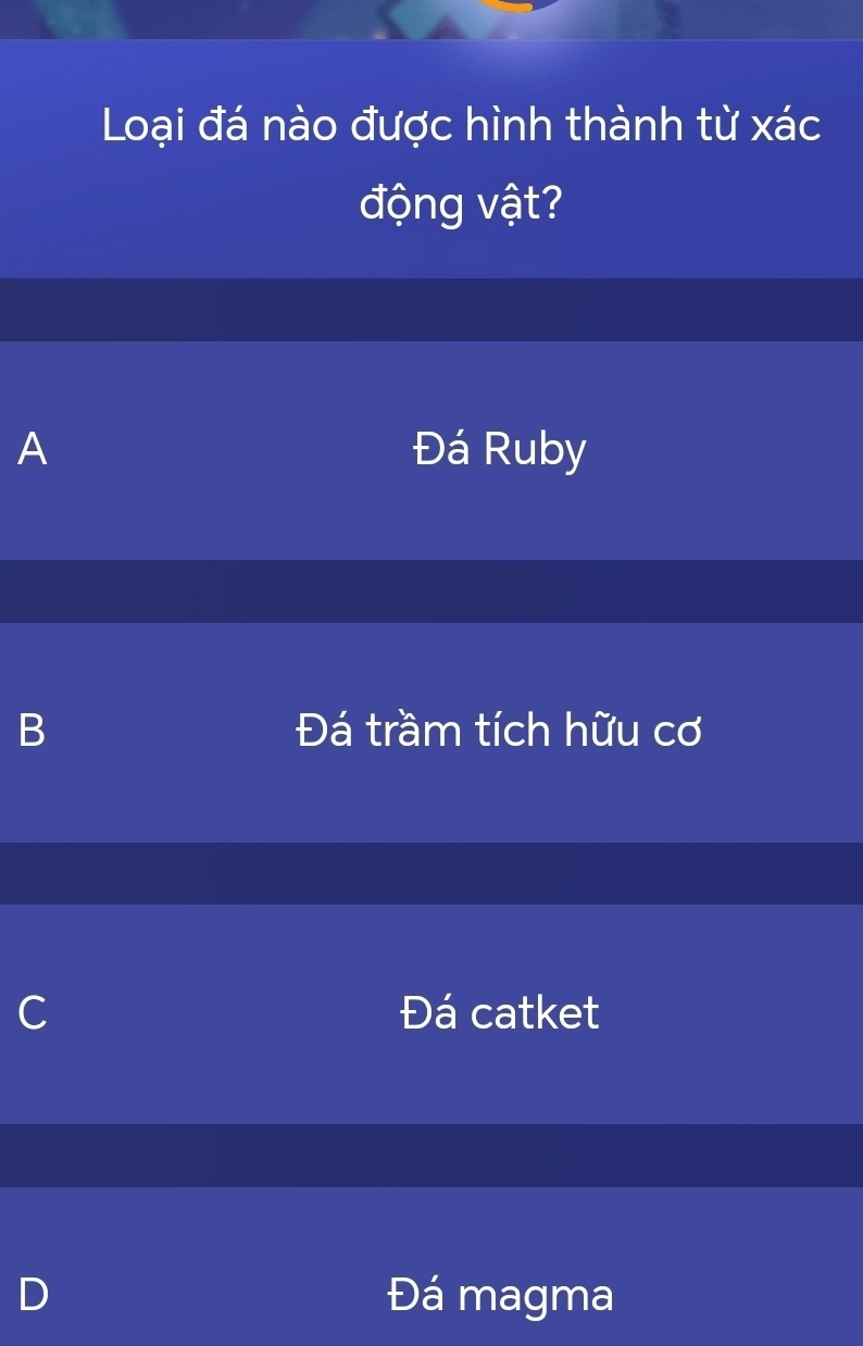 Loại đá nào được hình thành từ xác động vật? Khám phá đá trầm tích hữu cơ Cận cảnh một mẫu đá trầm tích hữu cơ với hóa thạch