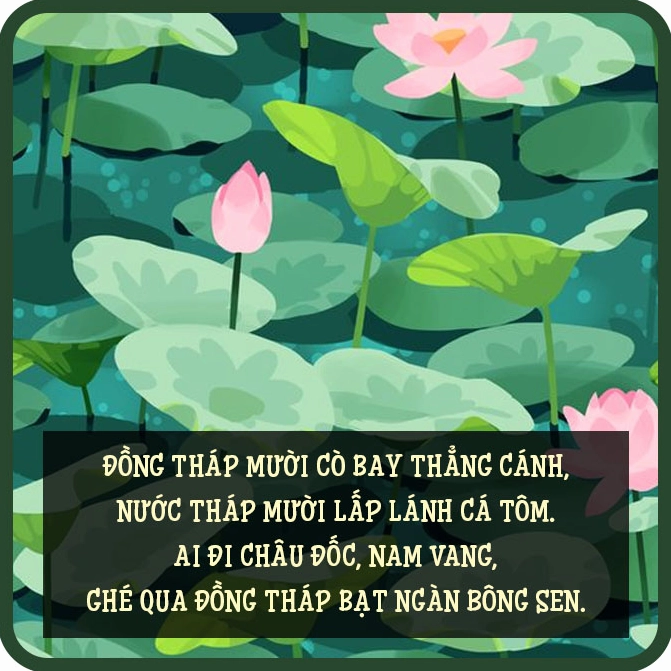 Cánh đồng lúa quê hương thanh bình