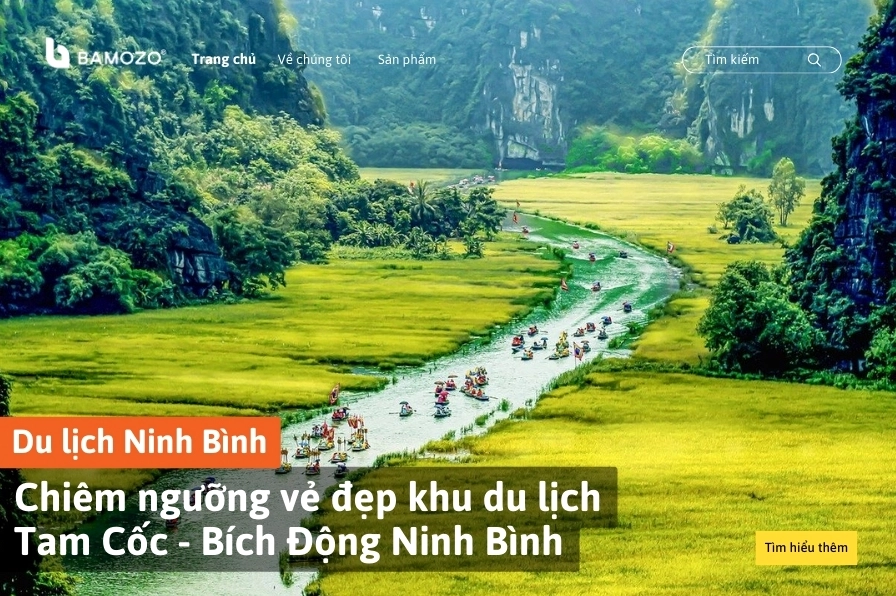 Cánh đồng Ngô Đồng rực rỡ tại Tam Cốc Ninh Bình