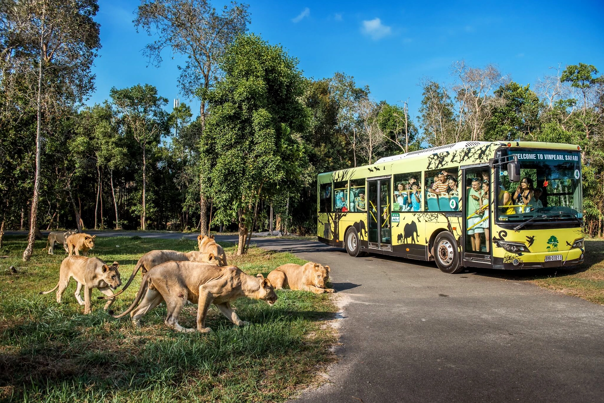 Cảnh quan thiên nhiên tại Vinpearl Safari