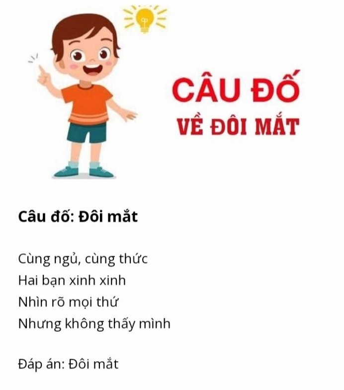 Câu đố vui có đáp án về bộ phận cơ thể