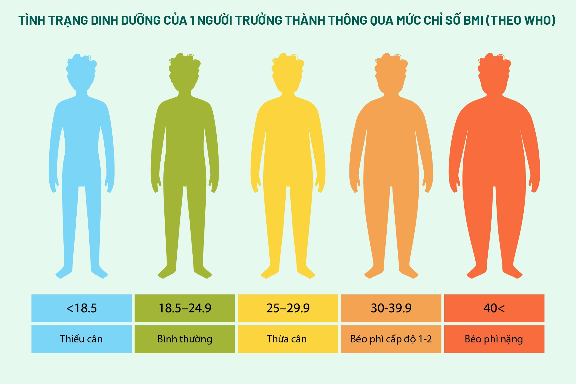 Chế độ ăn uống lành mạnh duy trì BMI