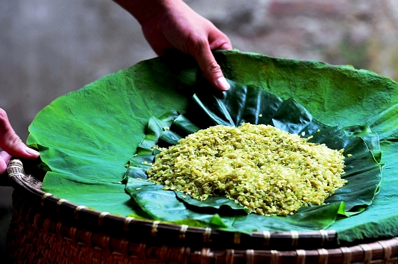 Chọn lúa làm cốm Làng Vòng
