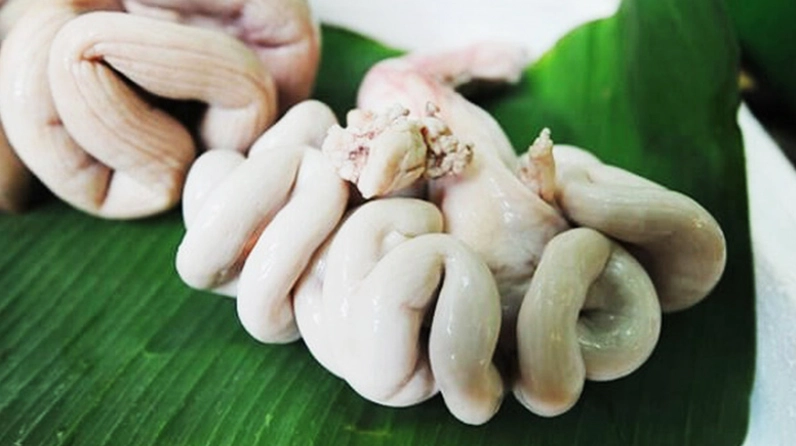 Chọn mua dồi trường tươi ngon