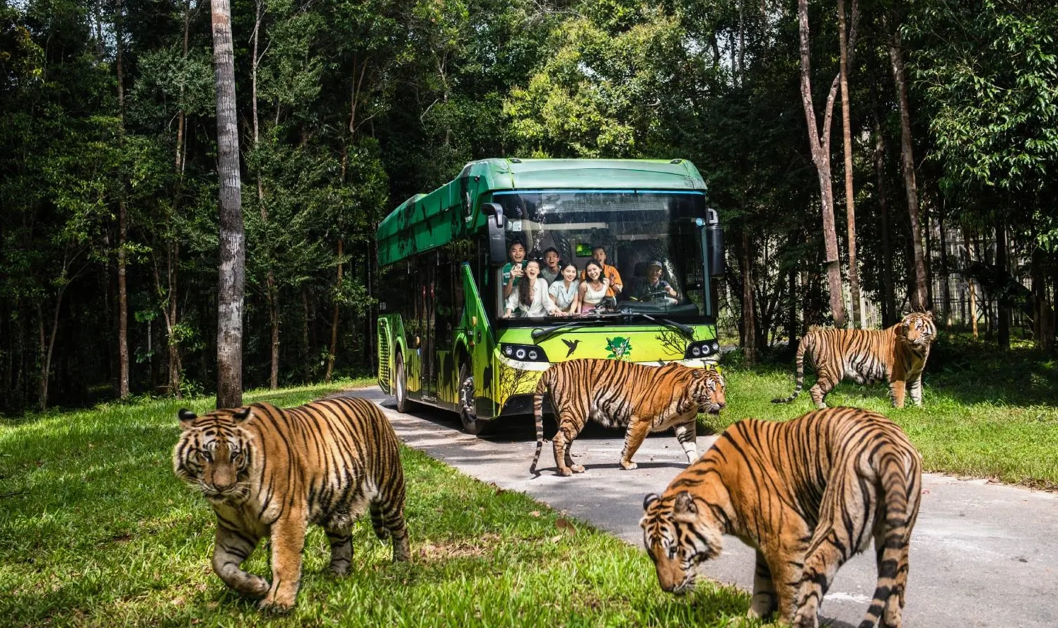 Du khách tham quan khu Safari bằng xe bus