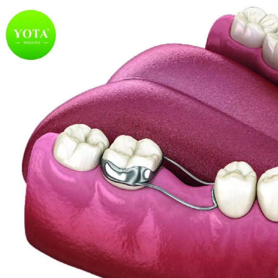 Hình ảnh các vật dụng có răng