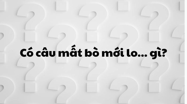 Có câu mất bò mới lo... gì? Bài học đắt giá 2026 Hình ảnh minh họa câu nói 'mất bò mới lo chuồng'