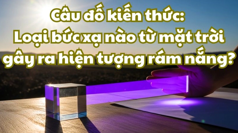 Hình ảnh minh họa câu đố kiến thức về bức xạ mặt trời