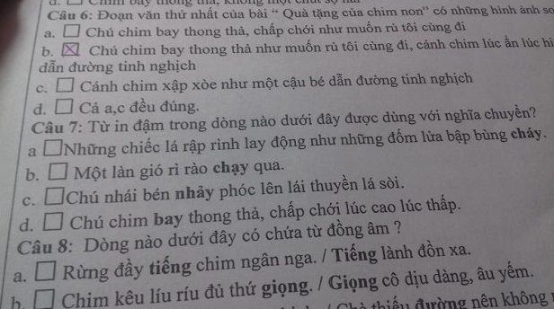 Hình ảnh minh họa quá trình phát triển nghĩa của từ