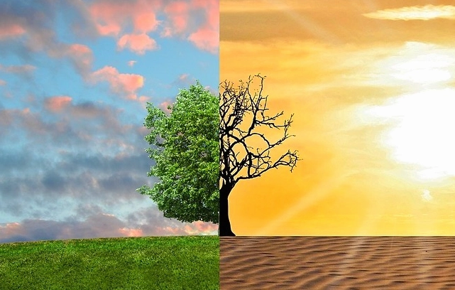 Hình ảnh minh họa tác động của biến đổi khí hậu