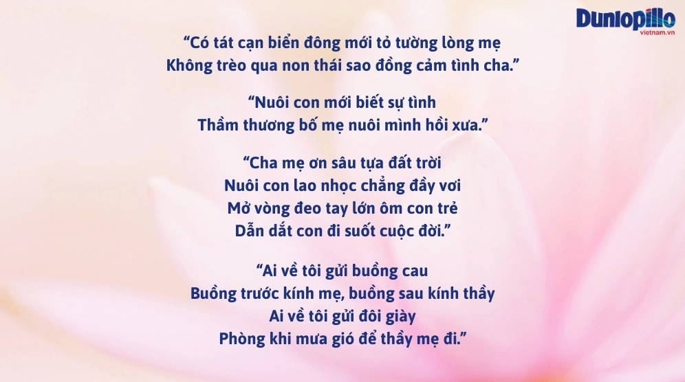 Hình ảnh minh họa về tình mẫu tử trong ca dao tục ngữ