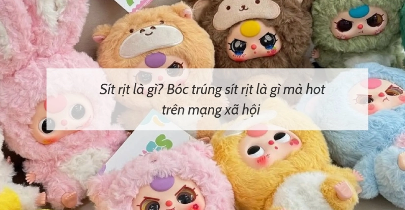 Hình ảnh minh họa xu hướng sít rịt