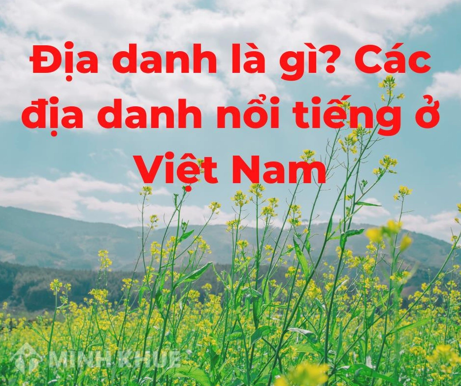 ia-danh-la-gi-kham-pha-chi-tiet-y-nghia-va-tam-quan-trong_313